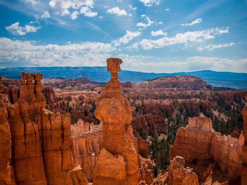 sudoku import puzzle