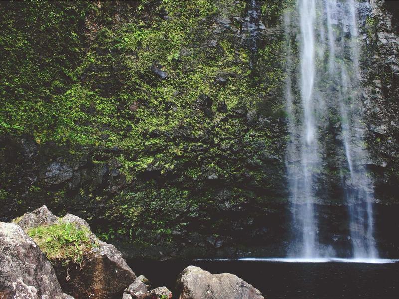 sudoku import puzzle screenshot 3