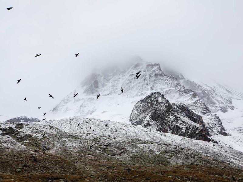 android screenshot 5